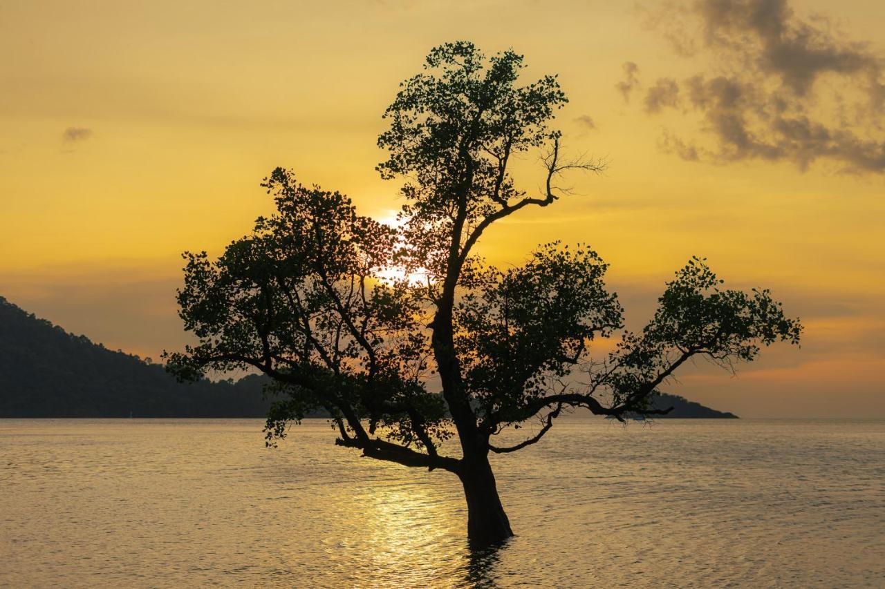 Perla Pool Villa - เกาะช้าง ภายนอก รูปภาพ