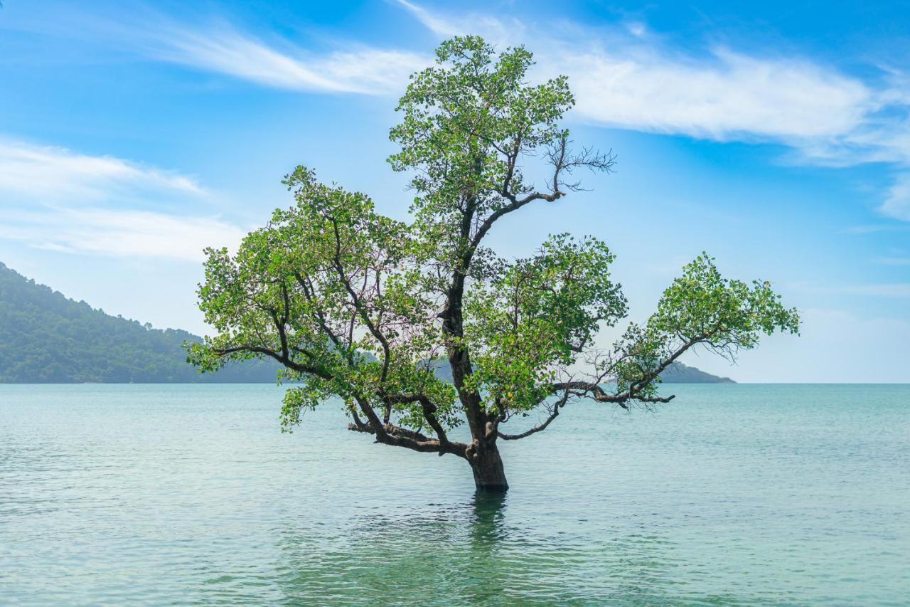 Perla Pool Villa - เกาะช้าง ภายนอก รูปภาพ